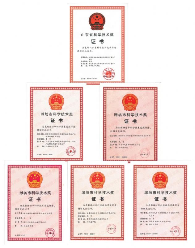 [good news] Longgang silicon Co., Ltd. won the first prize of Weifang Science and Technology Progress Award！