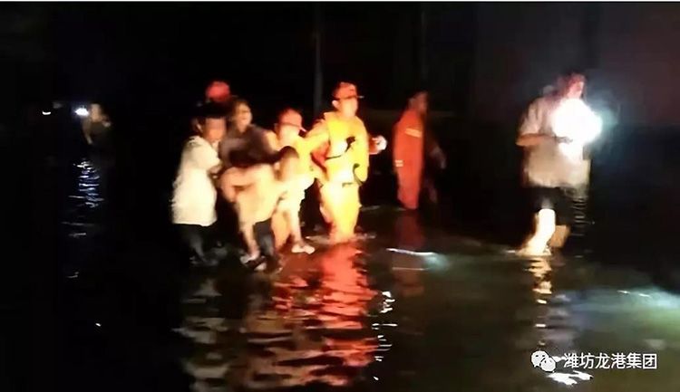 弘揚正能量——龍港集團員工見義勇為事跡！