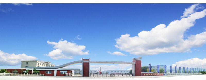 回首過去，不忘初心；展望未來，砥礪前行丨2019，龍港再出發(fā)！