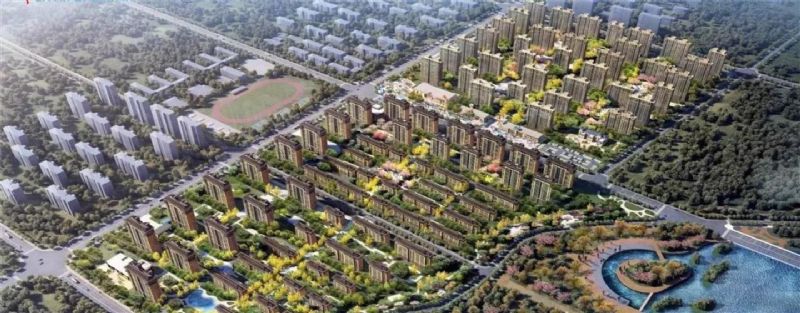 回首過去，不忘初心；展望未來，砥礪前行丨2019，龍港再出發(fā)！