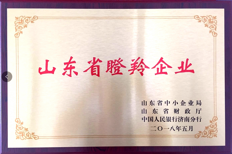回首過去，不忘初心；展望未來，砥礪前行丨2019，龍港再出發(fā)！