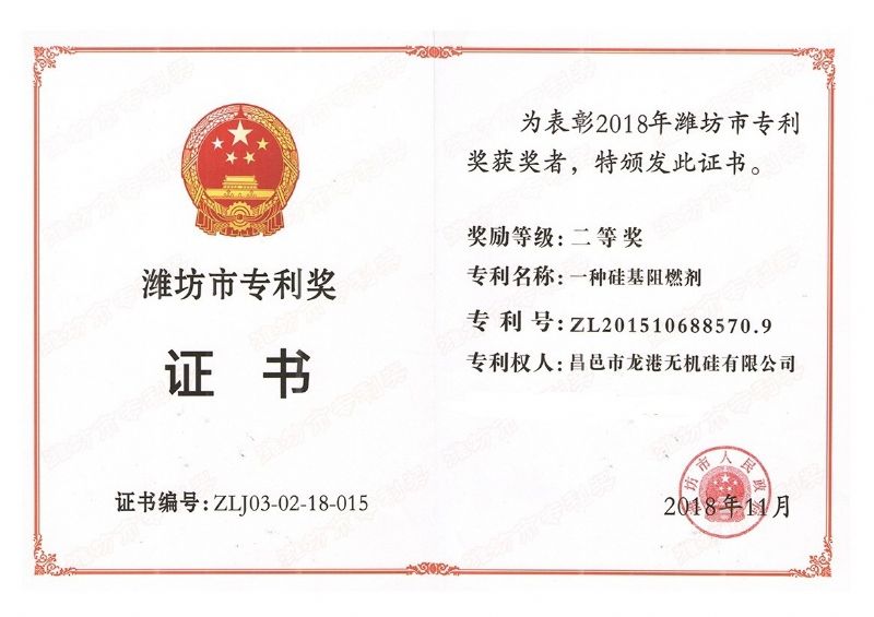 回首過去，不忘初心；展望未來，砥礪前行丨2019，龍港再出發(fā)！
