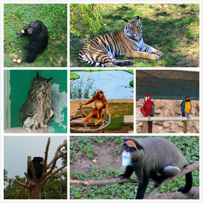 重溫歷史、不忘初心，走進(jìn)自然、愛護(hù)環(huán)境——2019年龍港集團(tuán)員工福利旅游活動(dòng)成功開展！