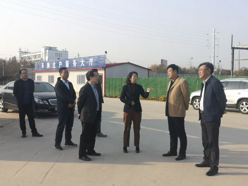 市委常委、組織部部長胡筱芹陪同中汽中心專家到龍港汽車城進行調研