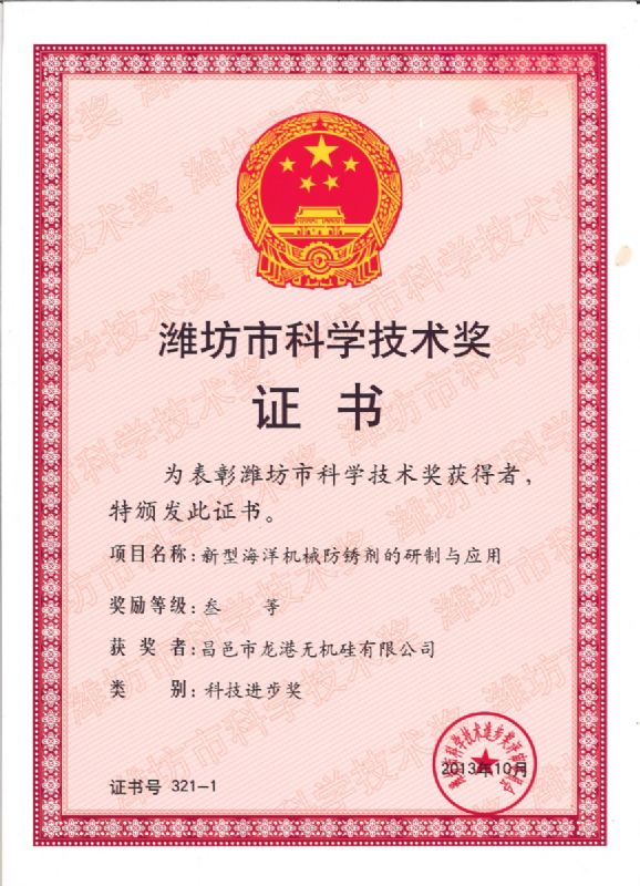 【喜訊】龍港硅業(yè)公司喜獲濰坊市科技進(jìn)步獎(jiǎng)一等獎(jiǎng)！