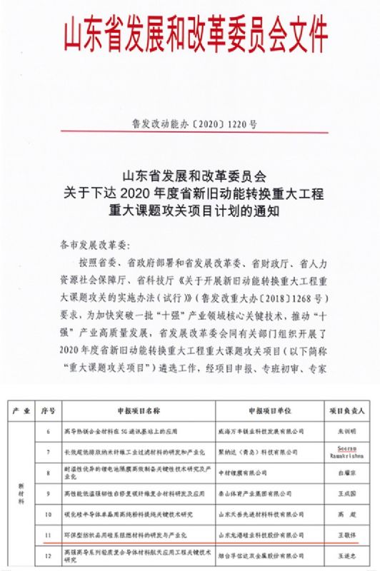 律回春暉漸 萬象始更新—龍港阻燃材料入選省新材料創(chuàng)新應(yīng)用示范項目！