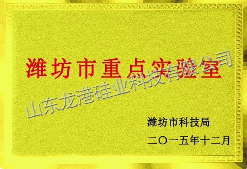 濰坊市重點(diǎn)實驗室